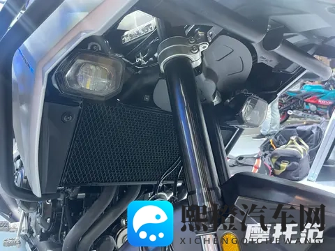 大菠萝网站:菠萝乐园官方网站-2