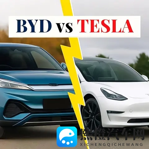 比亚迪与特斯拉:“规模王者”与“科技标杆”的对决”-2