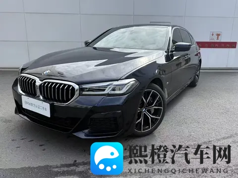 20年上牌的宝马5系,7万公里,25万多,这个价格香吗?-2