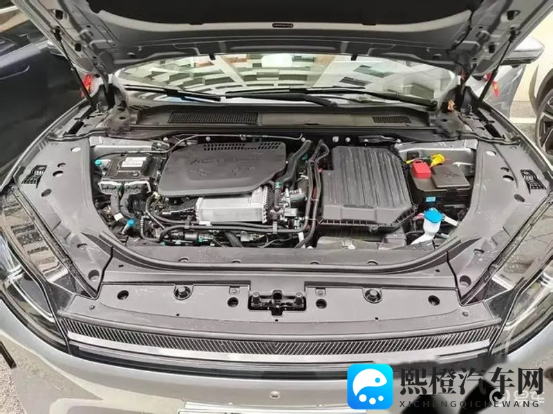 尼亚州AZ秘 一区二区三：尼亚州神秘地带，分区探秘之旅-1