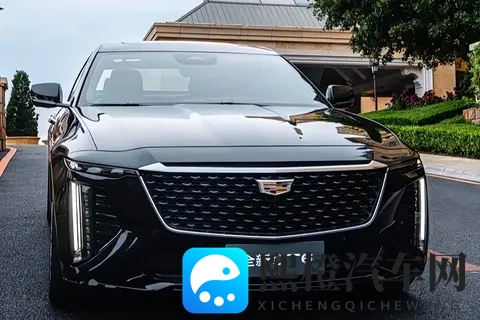 黄色软件app免费：免费黄色应用，畅享无限制-3