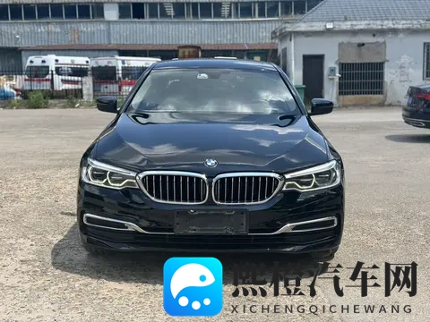 20款宝马5系：10万公里，香槟色外观，18万多开回家！-3