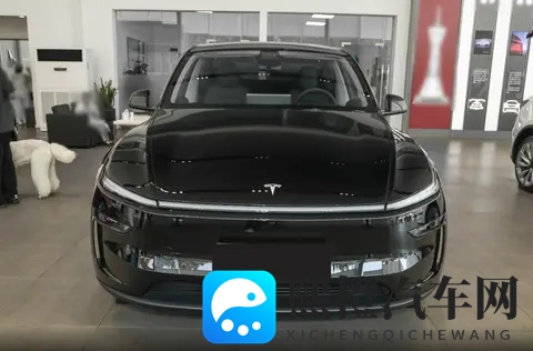 售价2885万元,特斯拉Model Y长续航后驱版上市,续航821公里-2