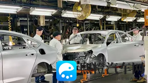 安世半导体风波:荷兰“抢”走公司,欧洲车企为何还得求中国?-1