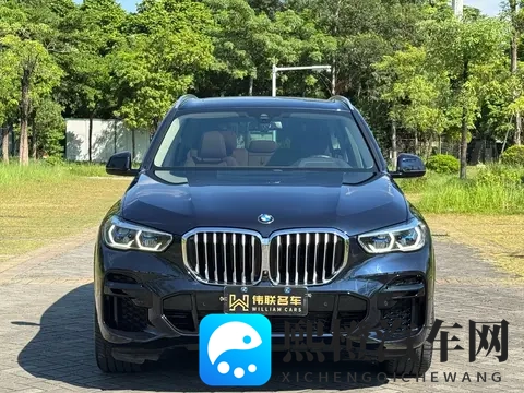 #准新车推荐#45万拿下宝马X5，体验速度与豪华！-3