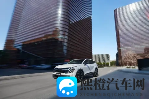 累计销量实现增长_连续8个月突破2万 悦达起亚10月销量22858辆-2