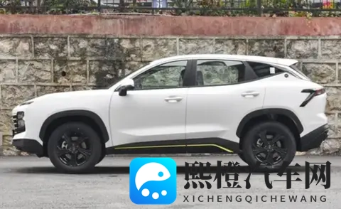 捷途大圣青春版上市，提供手动挡，配置够实用，值得选吗？-2