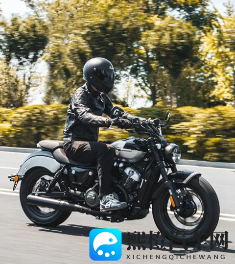 2026年国内摩托车的五大趋势-3