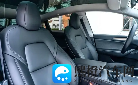 特斯拉Model Y821公里续航，2885万值不值？四大版本终极选购指南-3