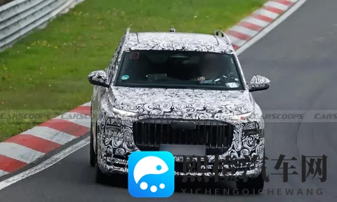 霍希版Q9搅局超豪SUV，这回奥迪来真的了-2