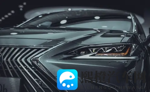 雷克萨斯国产车质量之争:真相比想象中复杂多了-2