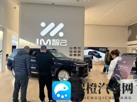 上汽旗舰智己LS9到店,看车订车堪比抢购现场-3