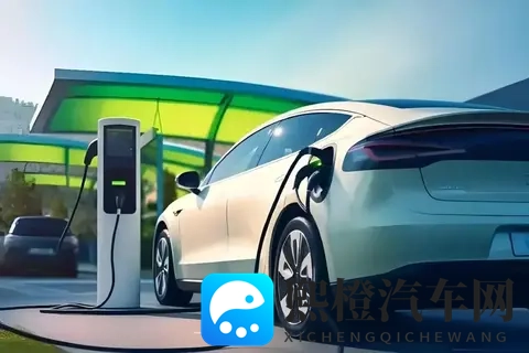 电车鄙视链真相：30万年薪的人买油车，300万年薪的人开电车-3