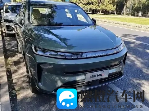 销冠老将“重出江湖”!11月上市,中型SUV国民奶爸车叫板新势力-3