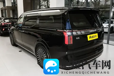 极氪009四驱长续航版:850km续航的家庭出行新标杆-3