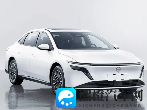 亚洲第一区第二区:汽车市场新风向:两大区域引领全球增长-2