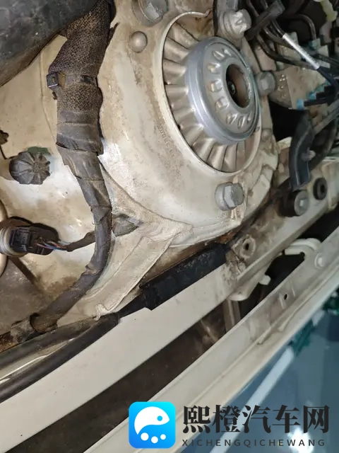 裸体美女应用：汽车创新设计，科技艺术新体验-2