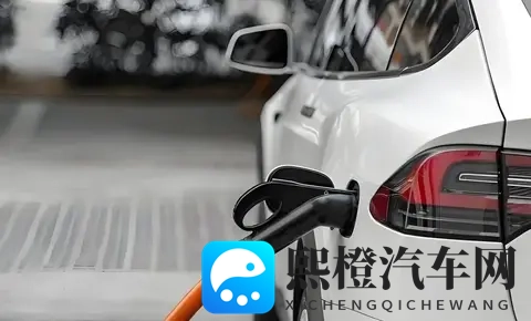 电车鄙视链真相：30万年薪的人买油车，300万年薪的人开电车-1