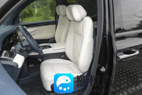 埃尔法的“大本营”,被一台国产车撬动了?-2