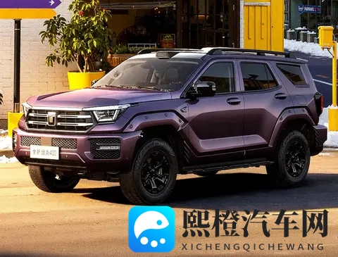 上市降了24万,活在舒适圈里的坦克400确实得上点强度了-3