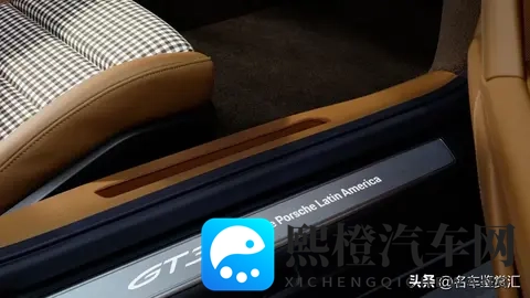 保时捷推出全新Sonderwunsch定制版911 GT3 “豹猫”-2