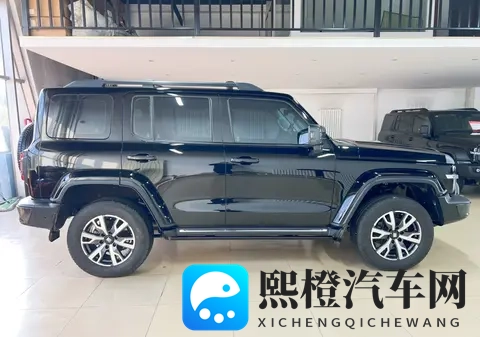 16万多拿下硬派越野!22年坦克300,圆你一个越野梦-1