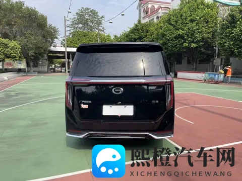 欧美老妇浓毛大泬毛茸茸：欧美女性浓密毛发引人注目-2