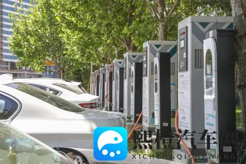 海贼王女帝被 黄漫羞羞:《海贼王》女帝遭遇黄漫情节,场面香艳-2