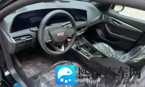 豪华B级车崩盘，捡漏还是踩坑，一场豪赌开始了-1