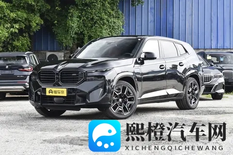 全新宝马X8登场：溜背设计引热议，智能与运动兼备瞄准中产新需求-2
