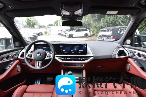 全新宝马X8登场：溜背设计引热议，智能与运动兼备瞄准中产新需求-3