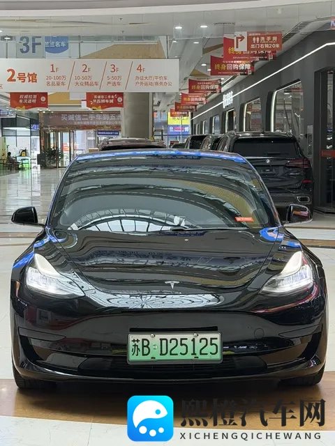 十年老车也疯狂？二手特斯拉Model3还能再战几年？-1