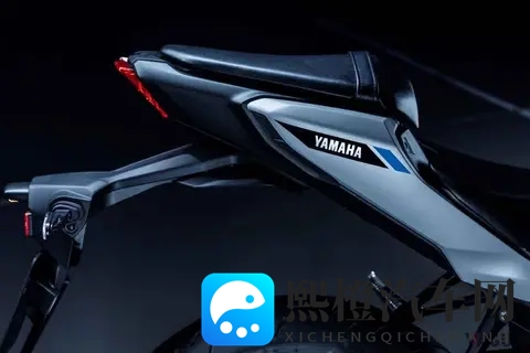 三款“250cc街头霸王” 易于驾驶，能够胜任长途旅行的各种需求-3