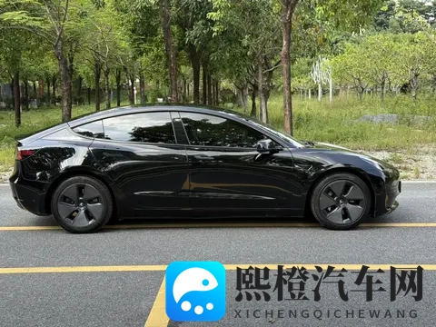 13万多！22年Model3，圆你特斯拉梦？-2