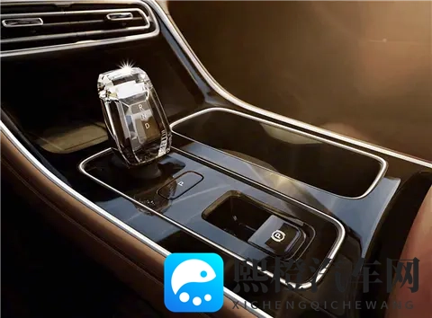 调教 支配 受虐 狂 极端:情感交织,极端心理探秘-2