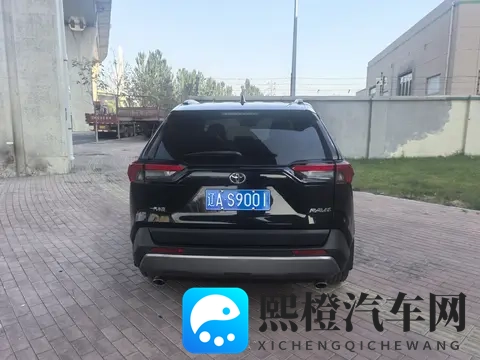 打扑克做运动:扑克牌上挥洒汗水,欢乐运动两不误-3