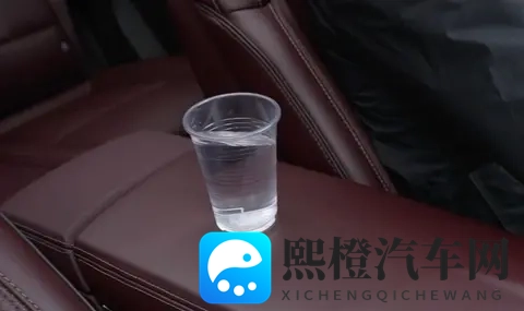 解剖分尸血腥网站：人体解剖惊悚内容网站揭秘-3