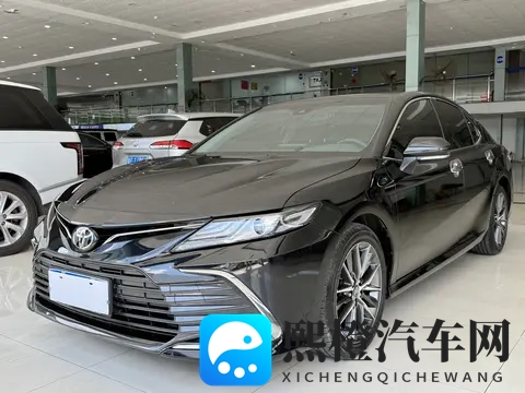 仙踪林company limited to在亚洲的发展:汽车零部件巨头在亚洲市场大放异彩-2