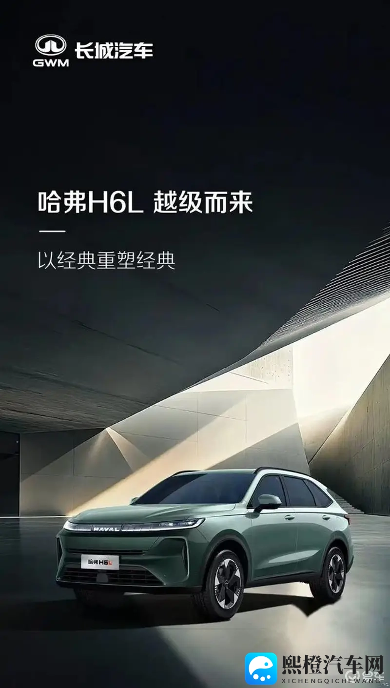 伦伦稀缺另类网爆黑料：另类车型引争议，质量疑云如何破解？-2