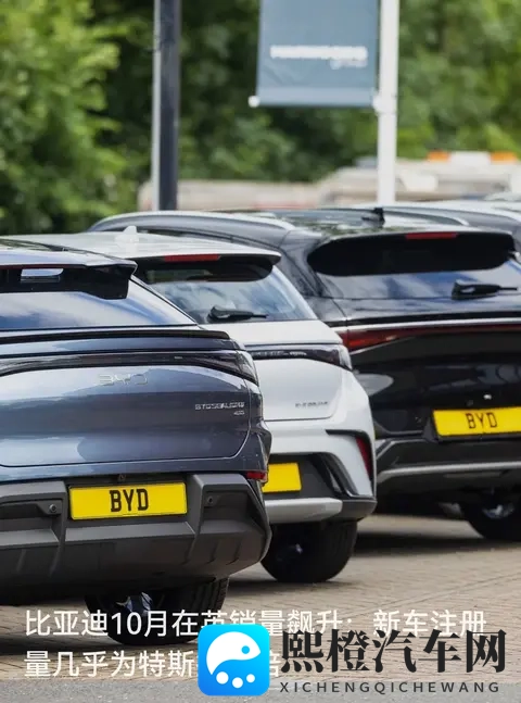 比亚迪10月销量是特斯拉7倍,中国电车在海外杀疯了-1