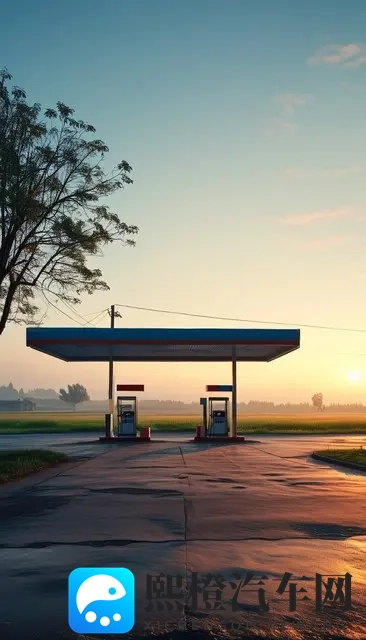 惊呆了!县道旁的私人加油站竟比大牌还划算?真相让人摸不着头脑-2