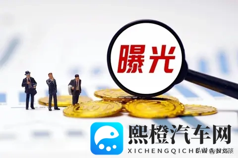 “11月1日中汽数研公布的2025年10月新热力车市销量数据”-3