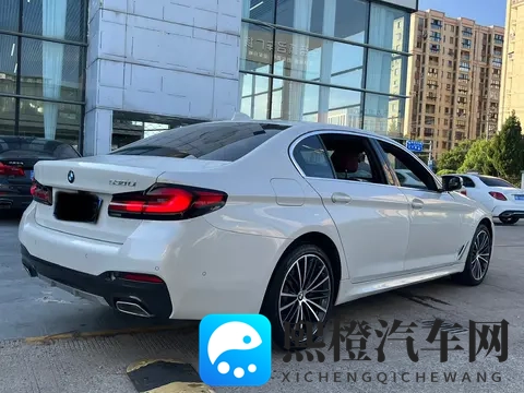 22年宝马530Li：6万公里，白色M套件，圆你蓝天白云梦？-1