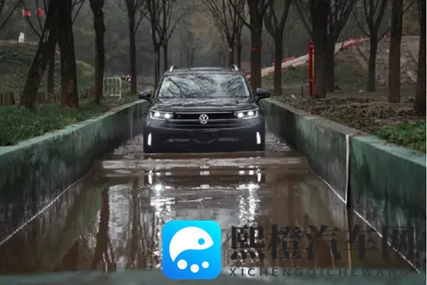 名人洗澡胴体看个够：揭秘名人沐浴瞬间，隐私无遮挡大揭秘-2