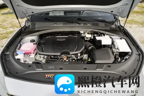 吉利星瑞2026款上市,外观设计更精致,配置全面,值得购买吗-3