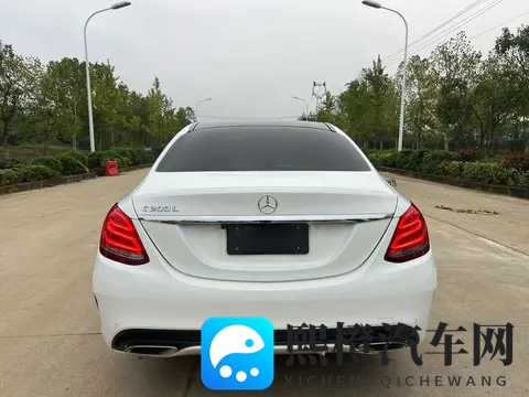 国产重口老太和小伙：汽车新势力：老太选温馨座驾，小伙爱个性SUV-2