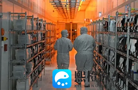 荷兰闯祸！全世界跟着买单-1