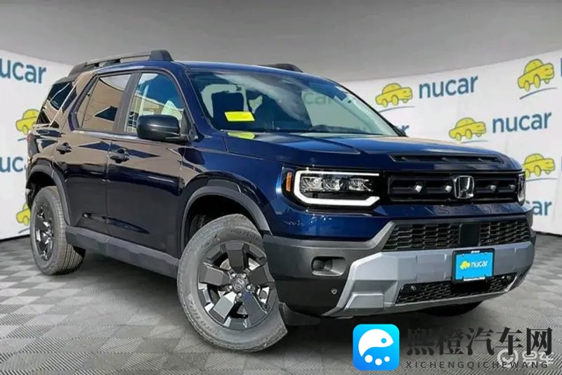 男女打扑克的网站:男女共享,扑克竞技平台-1