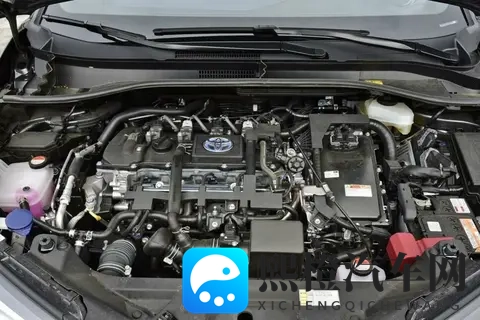 黄色软件3.0.3：全新版本软件3.0.3，功能升级体验佳-1