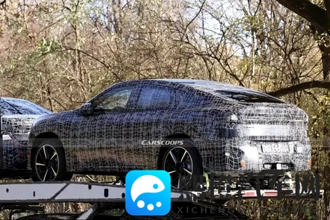 xXX少妇厨房XXX乱：XXX少妇厨房风波频发-2